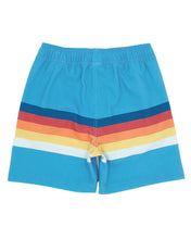 Load image into Gallery viewer, Vintage Stripe Volley Trunk