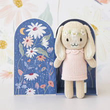Load image into Gallery viewer, Tiny Hannah the bunny (blush), gives 10 meals