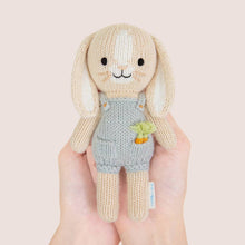 Load image into Gallery viewer, Tiny Henry the bunny, gives 10 meals
