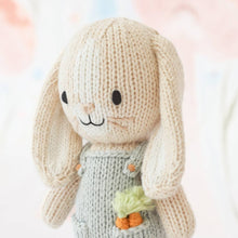 Load image into Gallery viewer, Tiny Henry the bunny, gives 10 meals