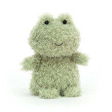 Load image into Gallery viewer, Little Frog Jellycat