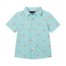 Load image into Gallery viewer, Boys Knit Buttondown - Aqua Flamingo