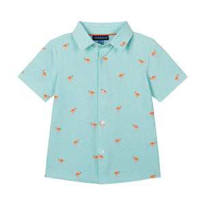 Boys Knit Buttondown - Aqua Flamingo