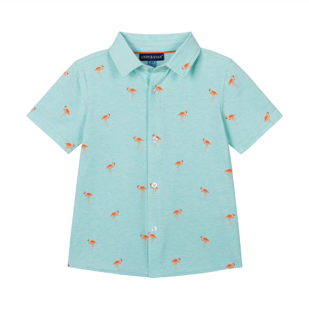 Boys Knit Buttondown - Aqua Flamingo