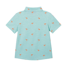 Load image into Gallery viewer, Boys Knit Buttondown - Aqua Flamingo