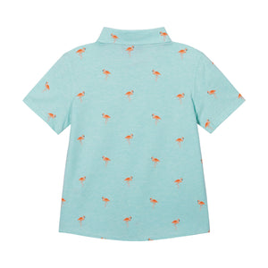 Boys Knit Buttondown - Aqua Flamingo