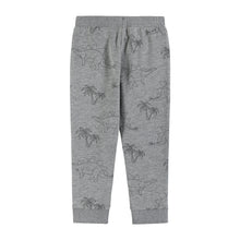 Load image into Gallery viewer, Dino Print Jogger - Grey Dino