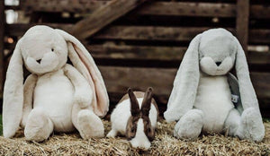 Big Nibble 20" Bunny - Gray