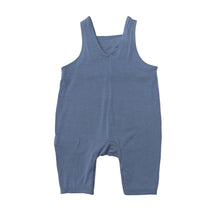 Load image into Gallery viewer, Painterly Dino Overalls