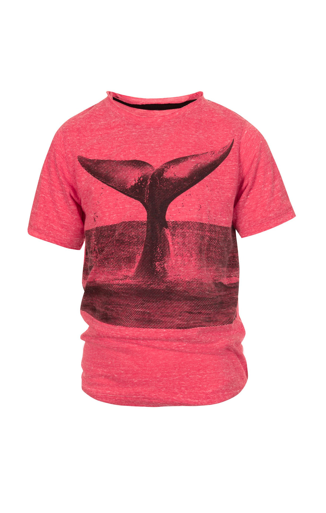 Graphic Short Sleeve Tee - Whale of a Tail - True Red Heather