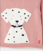 Load image into Gallery viewer, Ivy Intarsia Jumper