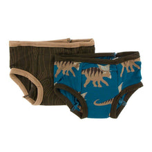 Load image into Gallery viewer, Training Pants Set - Heritage Blue Kosmoceratops and Petrified Wood