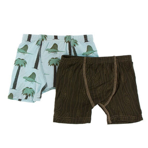 Boxer Briefs Set - Dimetrodon and Petrified Wood