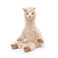 Load image into Gallery viewer, Luis Llama Jellycat