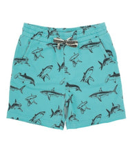 Load image into Gallery viewer, Low Tide Shorts - Aqua Sea