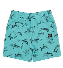 Load image into Gallery viewer, Low Tide Shorts - Aqua Sea