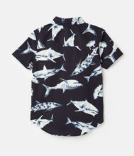Load image into Gallery viewer, Sefton Printed Shirt