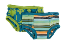 Load image into Gallery viewer, Training Pants Set of 2 - Seagrass Cactus &amp; Cancun Glass Stripe