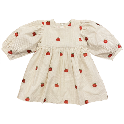 Girls Bea Dress - Lark Check w/ Pumpkin Embroidery