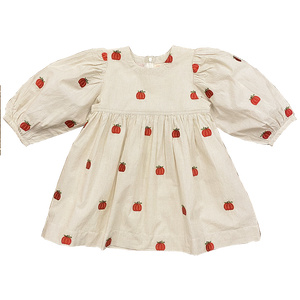 Girls Bea Dress - Lark Check w/ Pumpkin Embroidery
