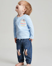 Load image into Gallery viewer, Peter Rabbit Benjamin Organically Grown Cotton - Blue Peter Rabbit