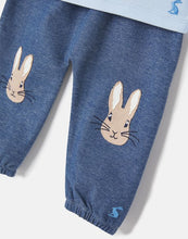Load image into Gallery viewer, Peter Rabbit Benjamin Organically Grown Cotton - Blue Peter Rabbit