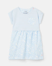 Load image into Gallery viewer, Angelina Organically Grown Cotton Dress - Blue Horse