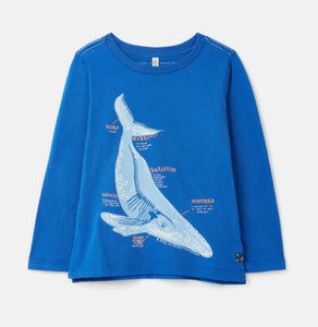 Finlay Screenprint Long Sleeve T‐shirt - BLUEWHALE