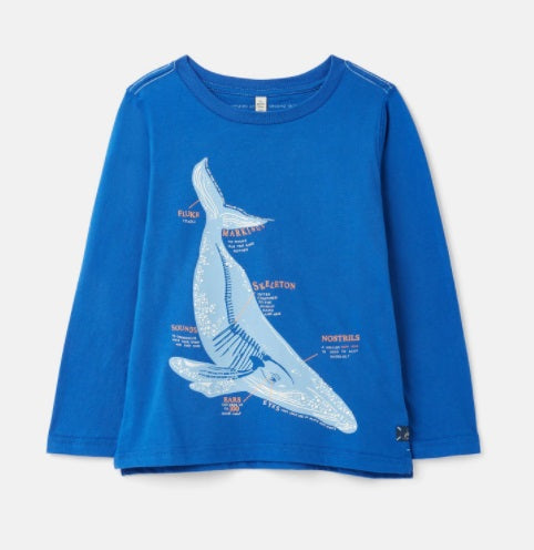 Finlay Screenprint Long Sleeve T‐shirt - BLUEWHALE