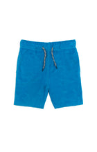 Load image into Gallery viewer, Camp Shorts - Blue Jewel